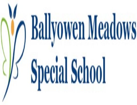 Ballyowen meadow's special school